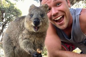 画像をアップすると似たような画像が送られてくるトピ その2