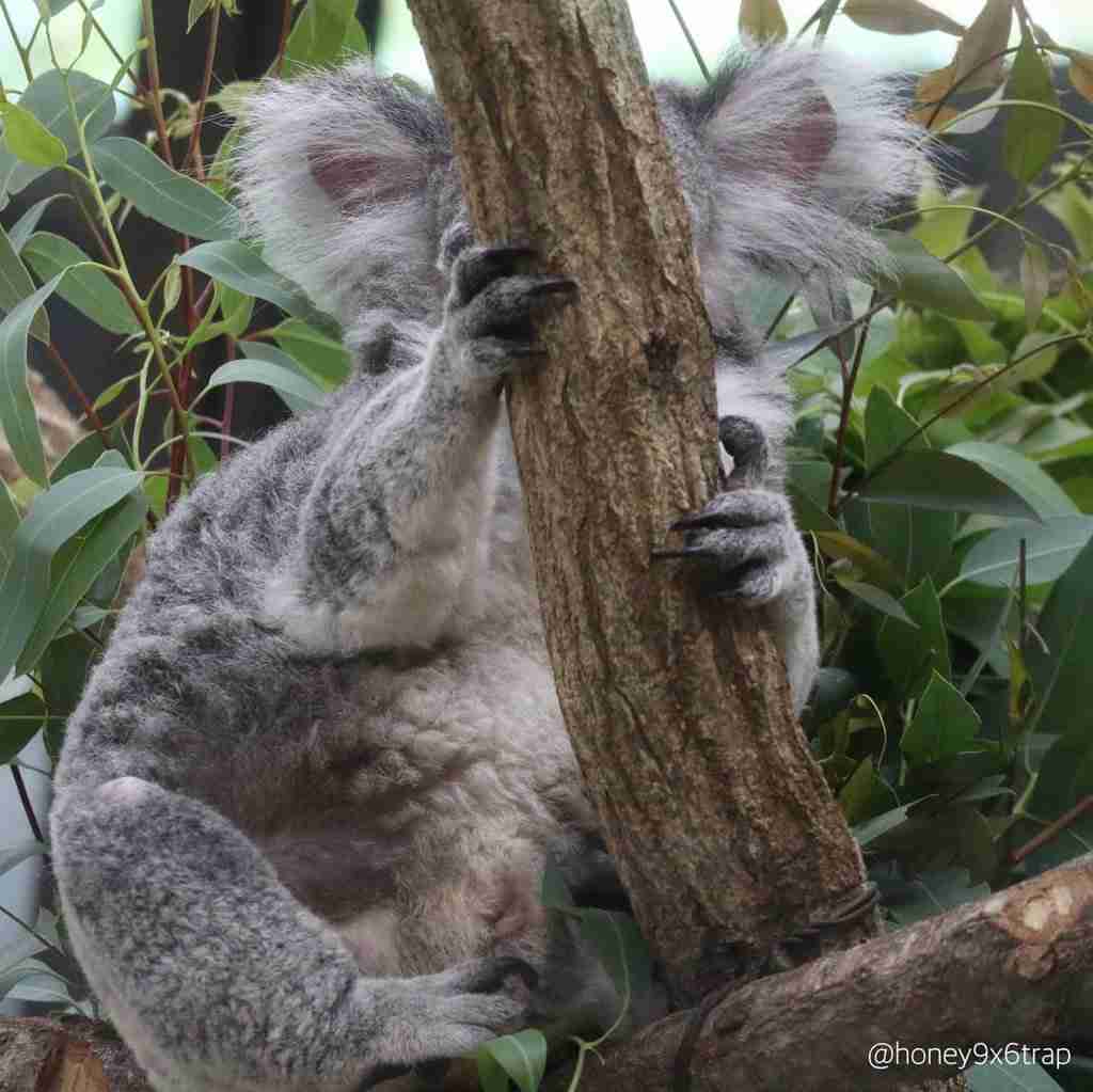 画像をアップすると似たような画像が送られてくるトピ その2