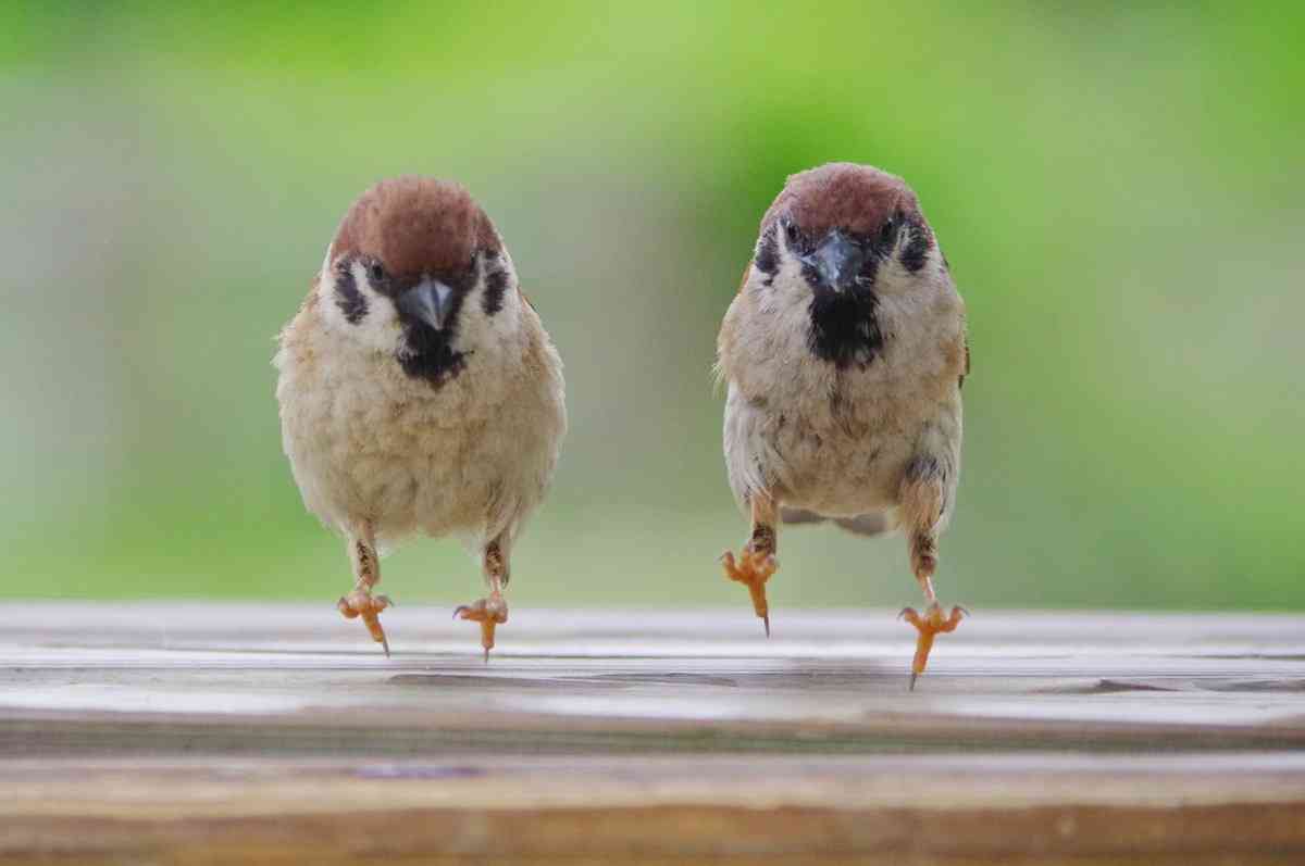 画像をアップすると似たような画像が送られてくるトピ その2