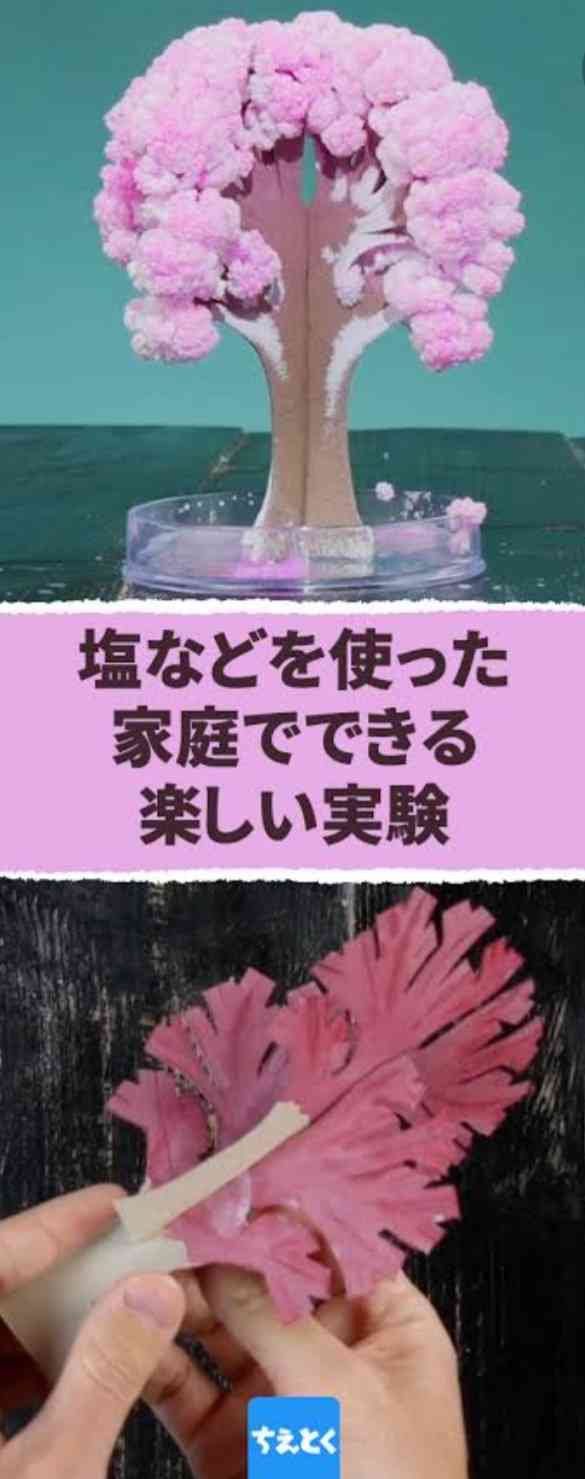 画像をアップすると似たような画像が送られてくるトピ その2