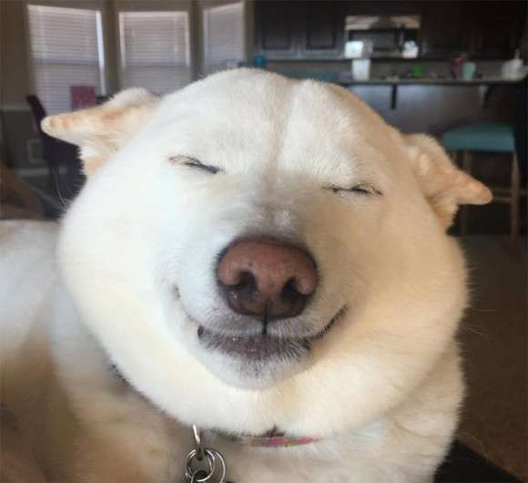 画像をアップすると似たような画像が送られてくるトピ その2