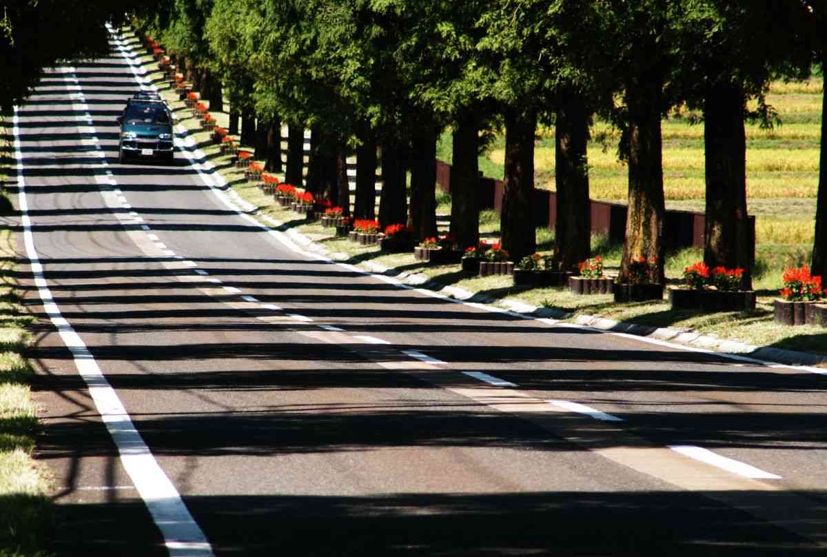 画像をアップすると似たような画像が送られてくるトピ その2