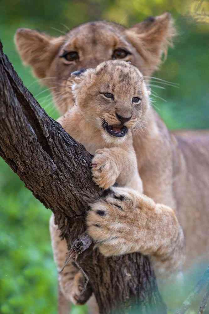 画像をアップすると似たような画像が送られてくるトピ その2