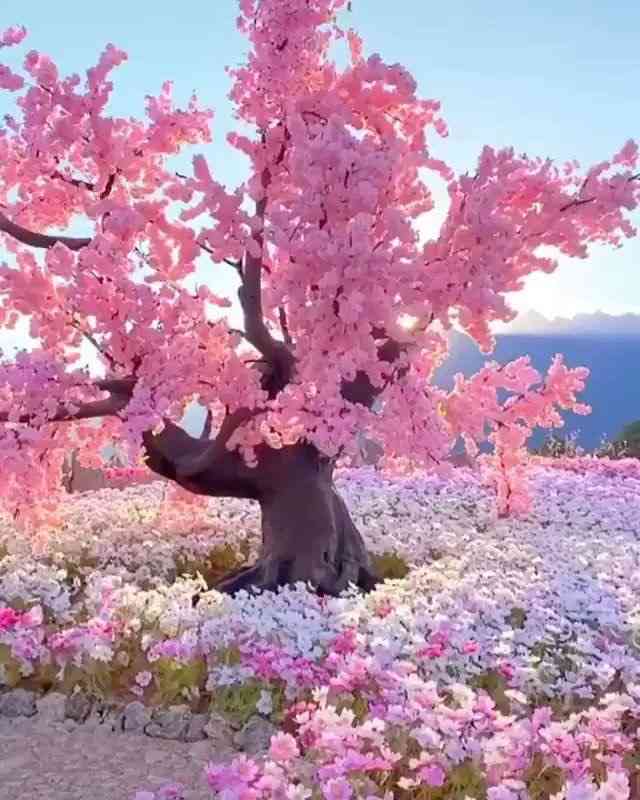 画像をアップすると似たような画像が送られてくるトピ その2