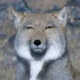 画像をアップすると似たような画像が送られてくるトピ その2