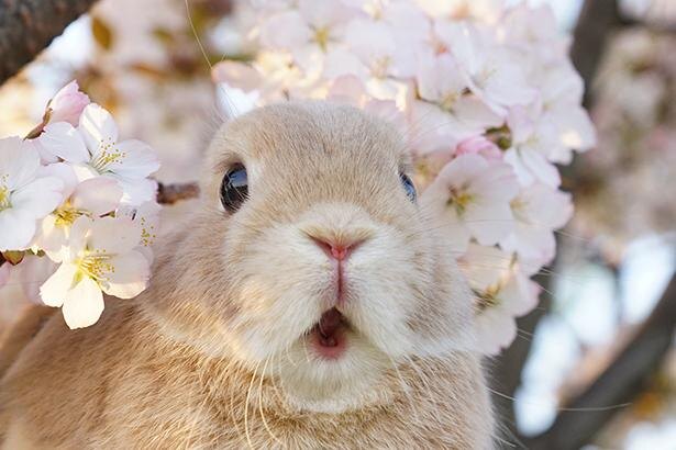 画像をアップすると似たような画像が送られてくるトピ その2