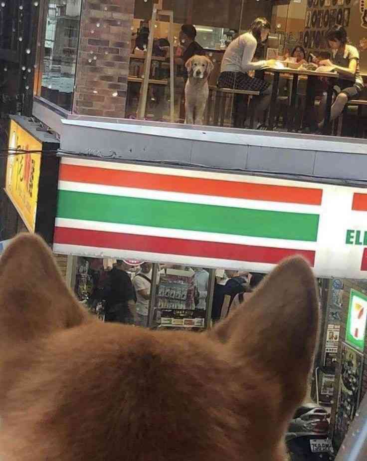 画像を貼ると誰かがトピタイを考えてくれるトピPart11