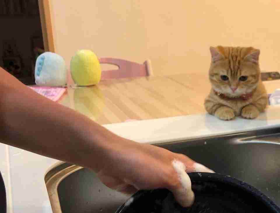 画像を貼ると誰かがトピタイを考えてくれるトピPart11