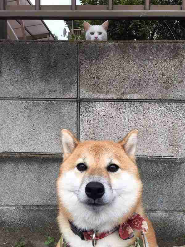 画像を貼ると誰かがトピタイを考えてくれるトピPart11