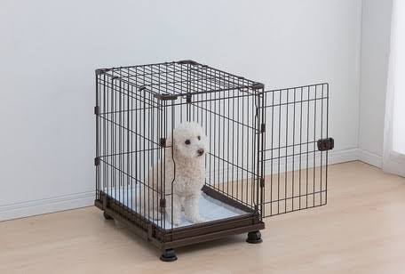 ペットの飼育相談所 part2