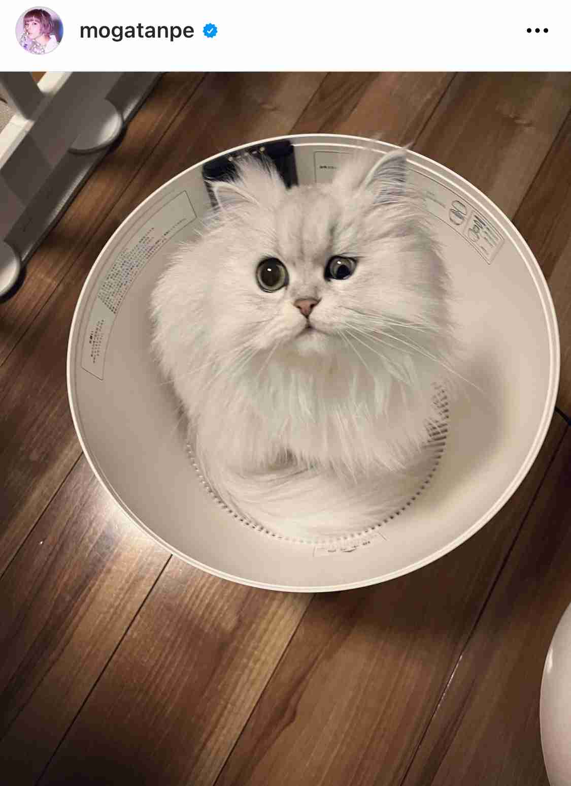 最上もがインタビュー「ちゃんと生きよう。生きるなら楽しく」シングルマザーとして仕事の両立も