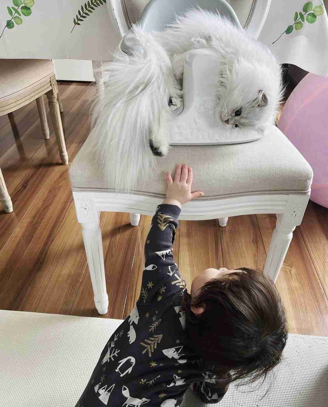 最上もがインタビュー「ちゃんと生きよう。生きるなら楽しく」シングルマザーとして仕事の両立も