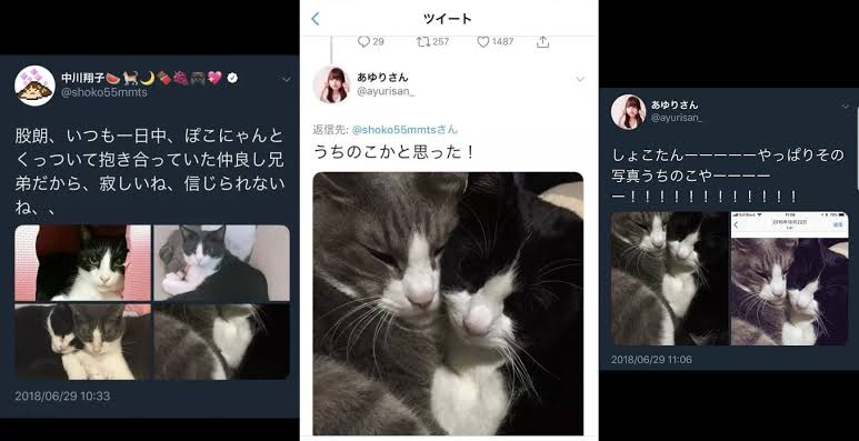 ガルちゃんで定番だと思う画像やコメントを挙げていくトピ