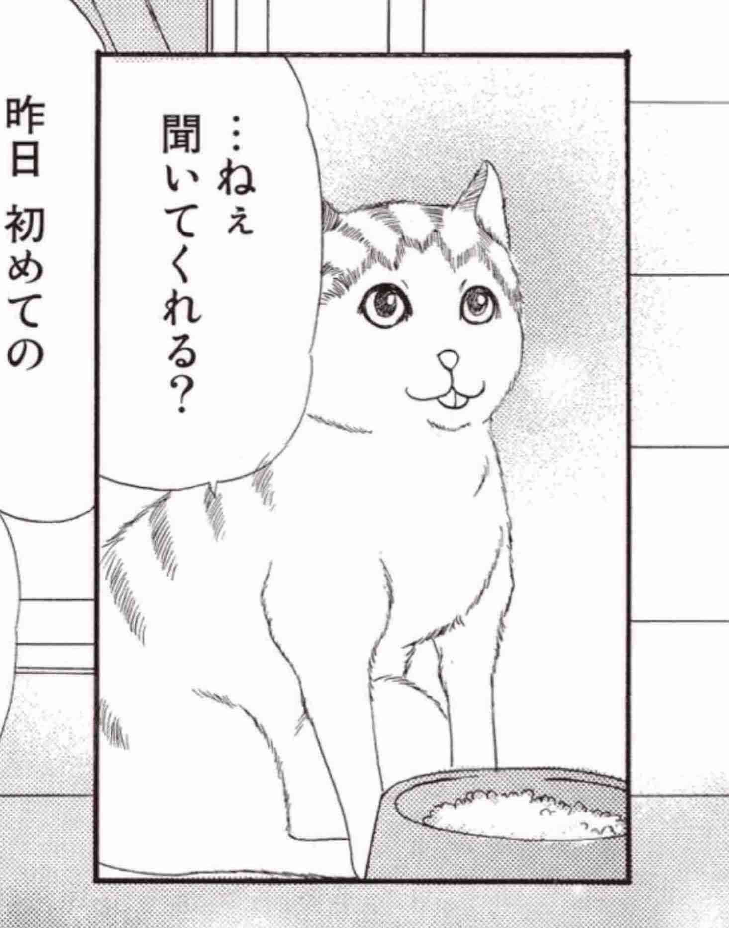 ガルちゃんで定番だと思う画像やコメントを挙げていくトピ