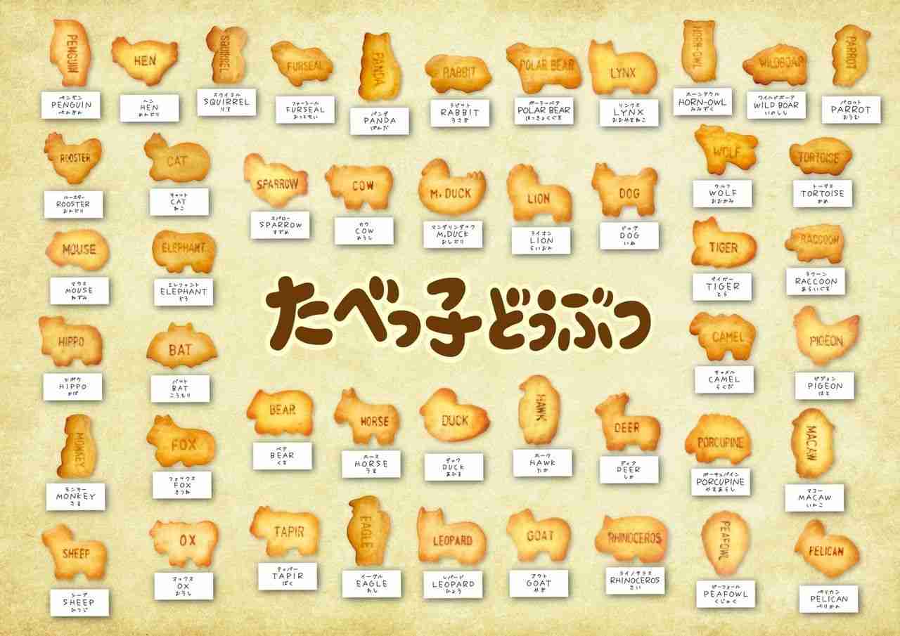 【5月5日は『たべっ子どうぶつ』の日】前身となった商品から“コアラ”だけ採用されなかった理由