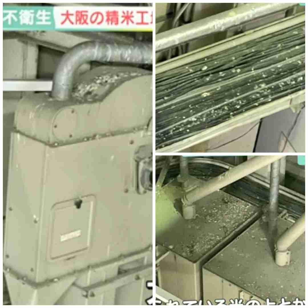 JAの精米工場がハトだらけ…至るところにフン　小学校給食にも出荷　保護者らが調査し発覚　大阪・枚方市