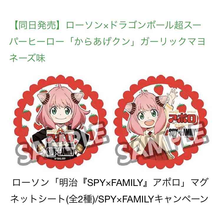 SPY×FAMILY（スパイファミリー）好きな人