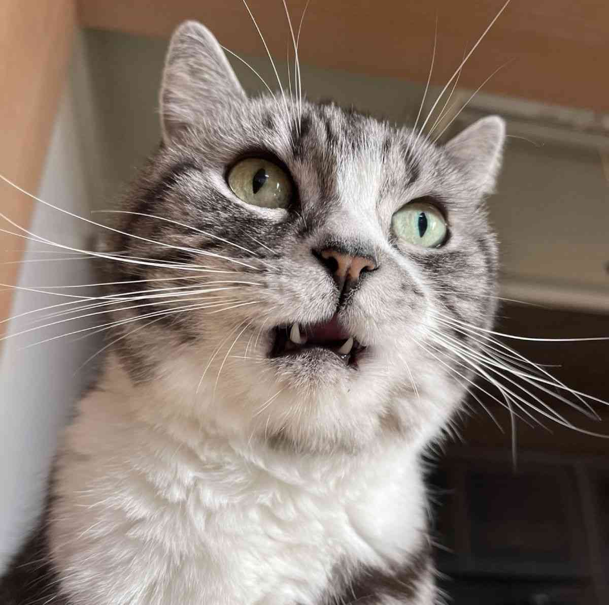 携帯電話が不通・広域停電・GPS精度低下…100年に1回の「太陽フレア」に警戒を