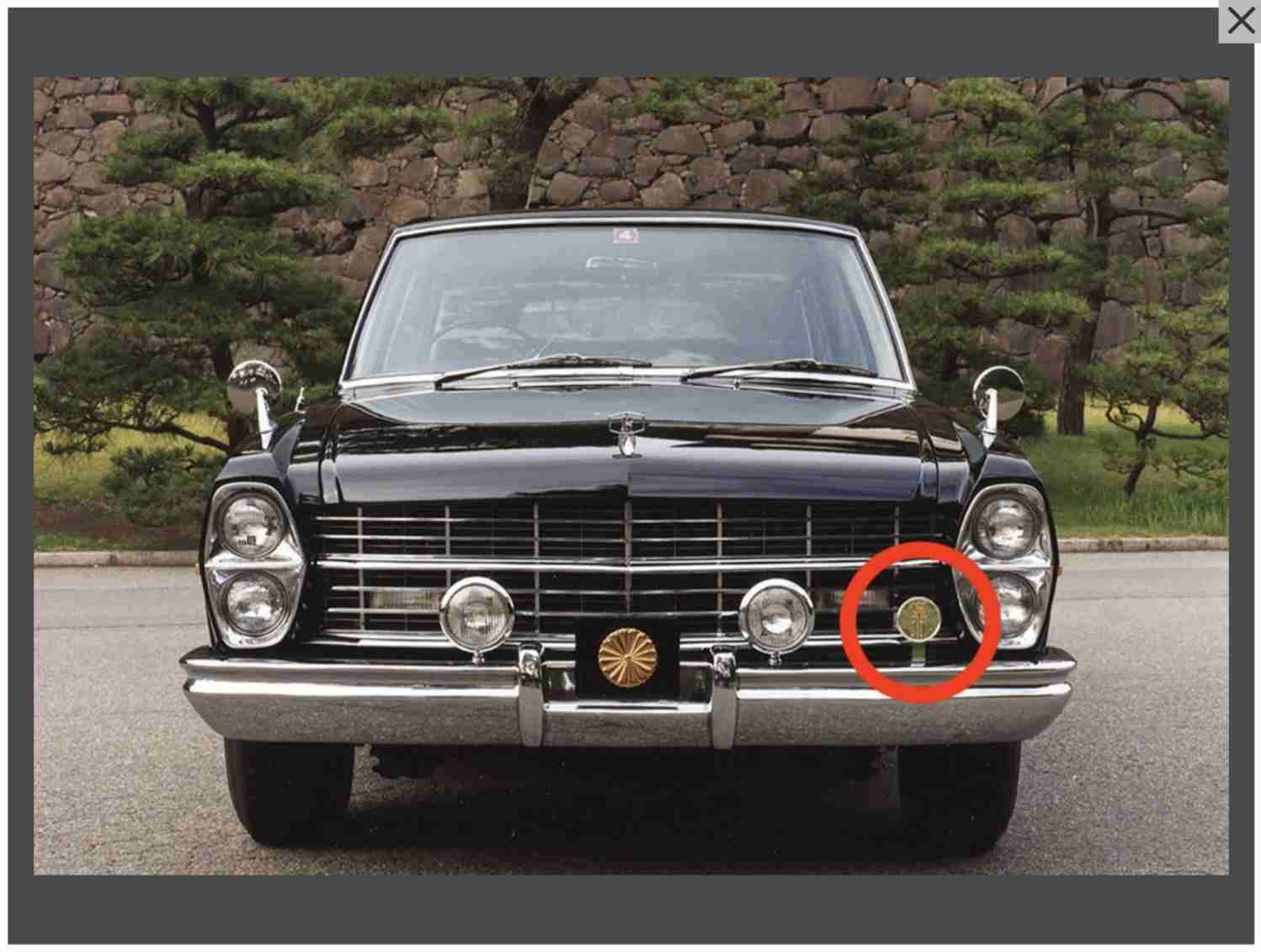 盆栽に興味があるひと!