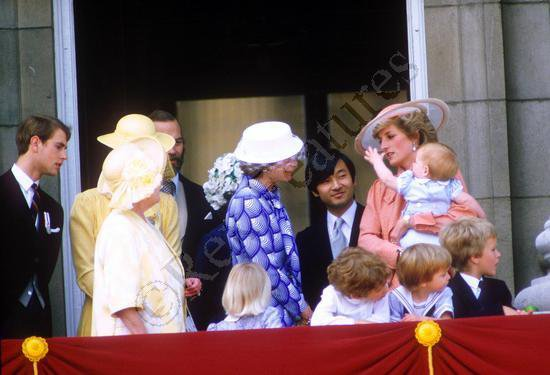 盆栽に興味があるひと！