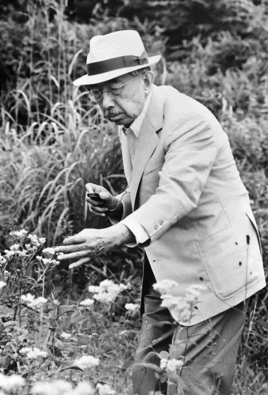 盆栽に興味があるひと!