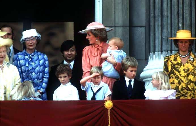 盆栽に興味があるひと！