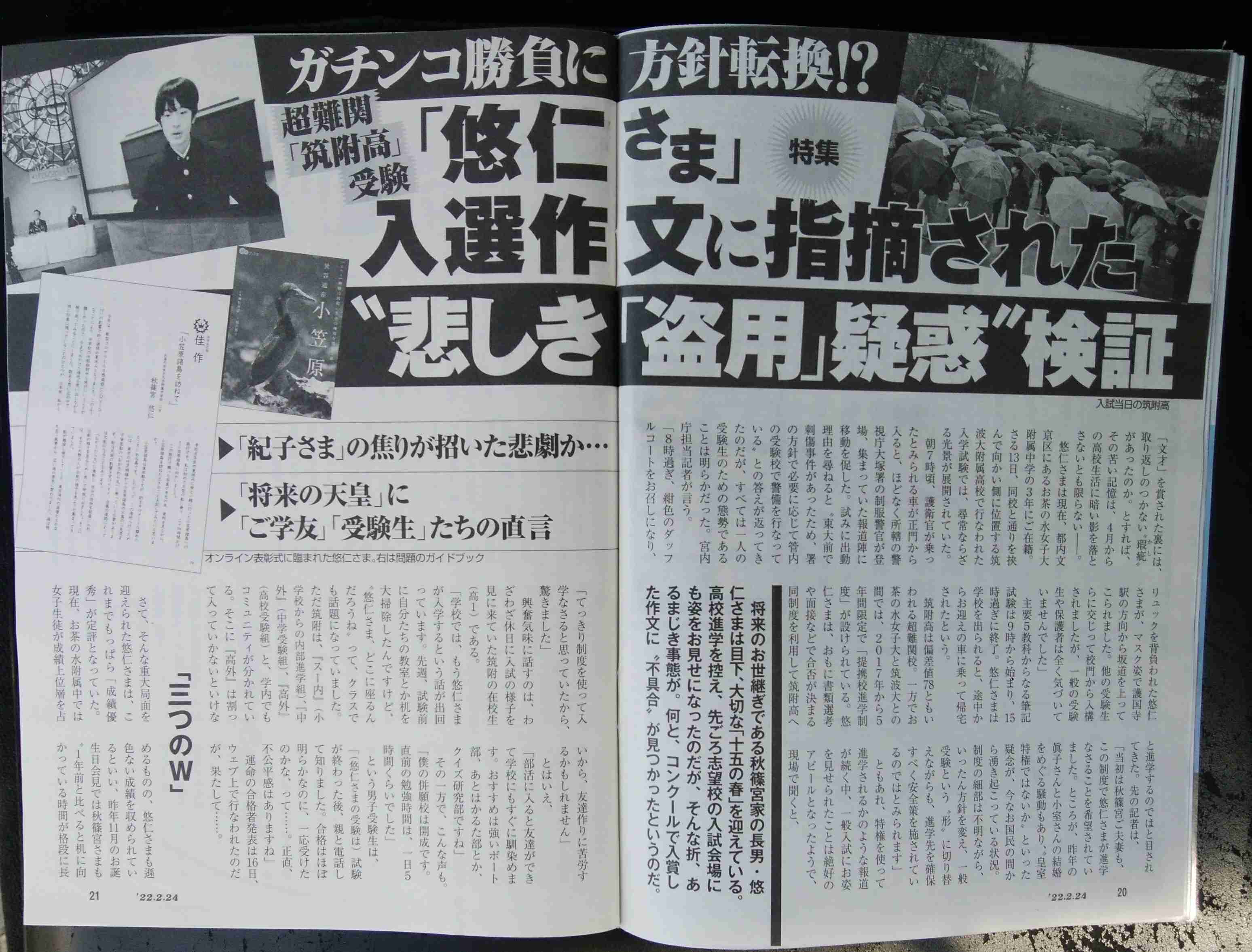 盆栽に興味があるひと！