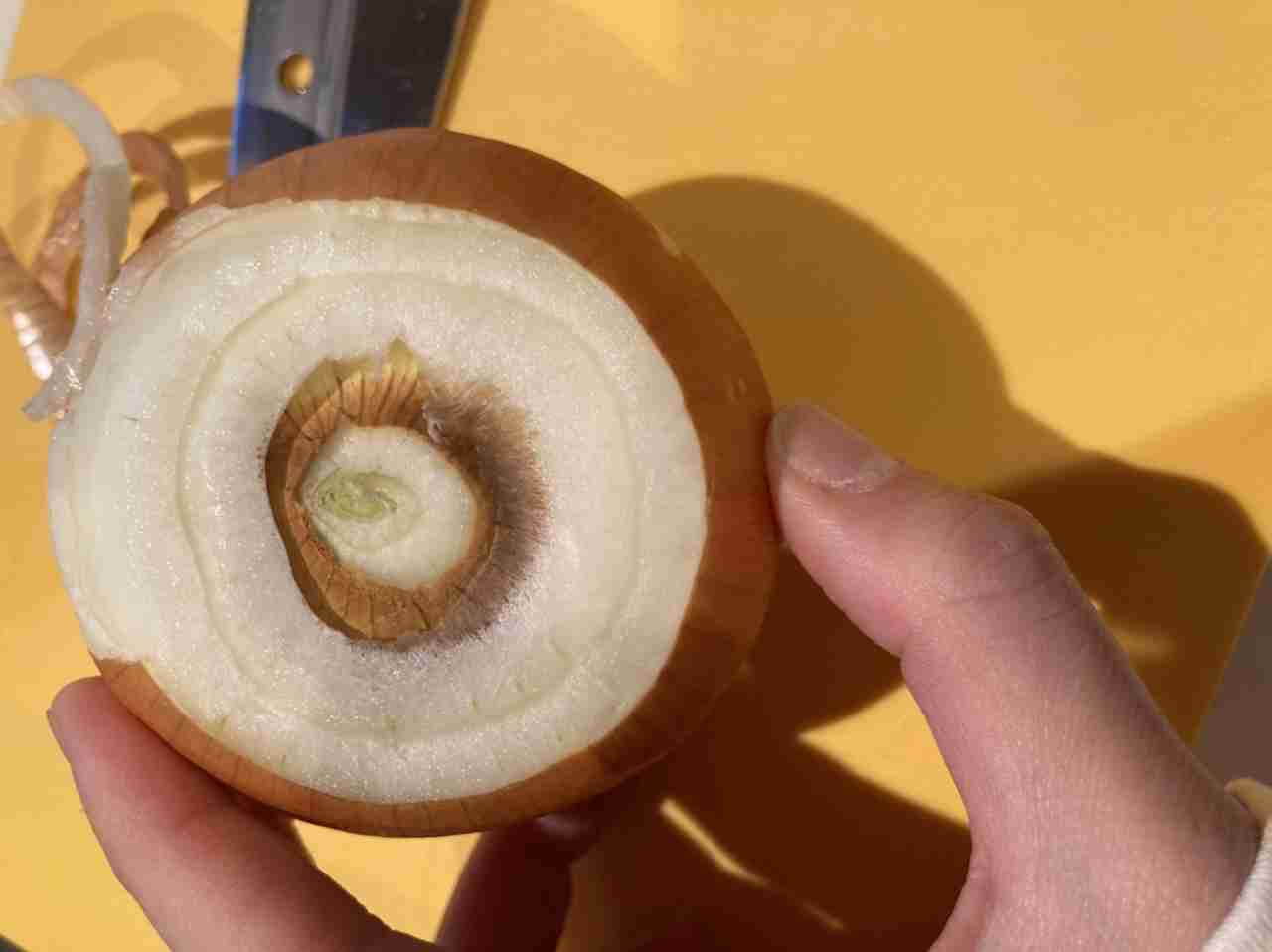 花粉終わりましたか?