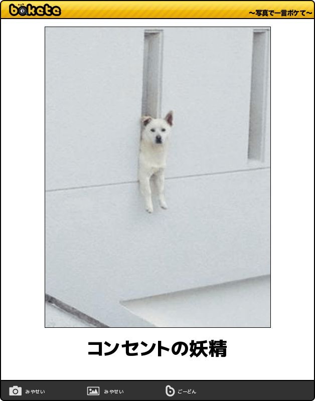 何度見ても秀逸だと思う「bokete」を貼っていくトピPart9