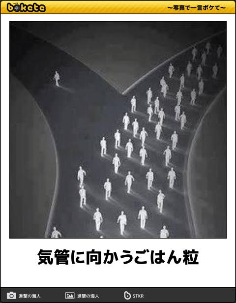 何度見ても秀逸だと思う「bokete」を貼っていくトピPart9
