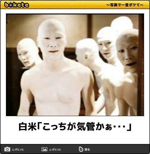 何度見ても秀逸だと思う「bokete」を貼っていくトピPart9