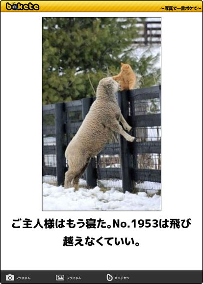 何度見ても秀逸だと思う「bokete」を貼っていくトピPart9