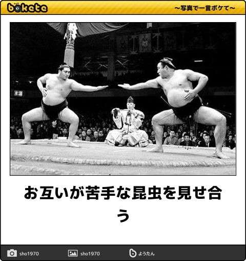何度見ても秀逸だと思う「bokete」を貼っていくトピPart9
