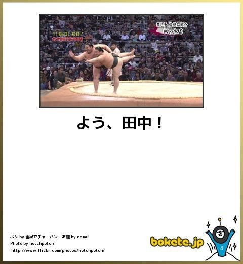 何度見ても秀逸だと思う「bokete」を貼っていくトピPart9