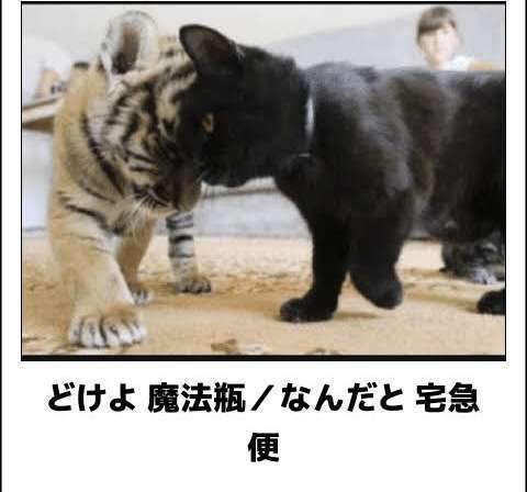 何度見ても秀逸だと思う「bokete」を貼っていくトピPart9