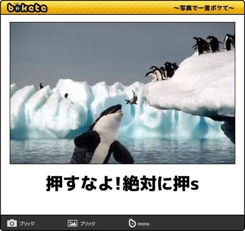何度見ても秀逸だと思う「bokete」を貼っていくトピPart9