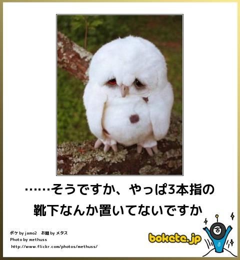 何度見ても秀逸だと思う「bokete」を貼っていくトピPart9