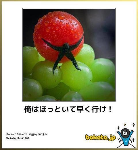 何度見ても秀逸だと思う「bokete」を貼っていくトピPart9