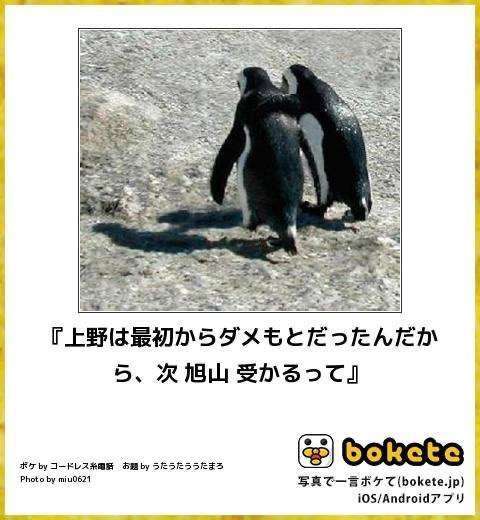 何度見ても秀逸だと思う「bokete」を貼っていくトピPart9