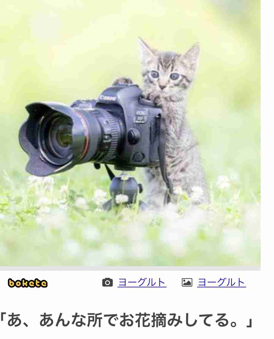 何度見ても秀逸だと思う「bokete」を貼っていくトピPart9