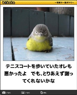 何度見ても秀逸だと思う「bokete」を貼っていくトピPart9
