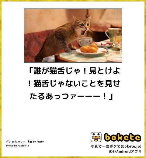 何度見ても秀逸だと思う「bokete」を貼っていくトピPart9