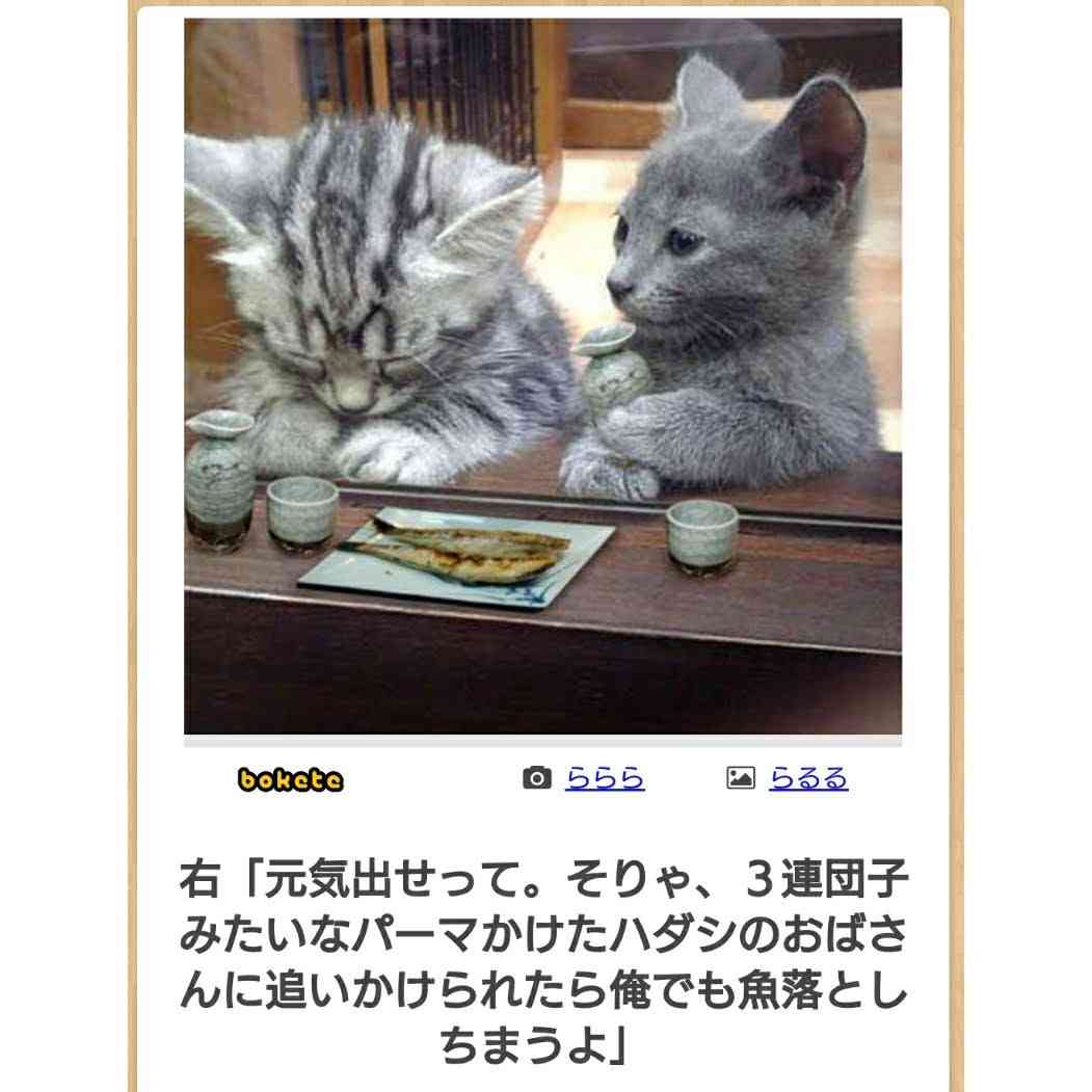 何度見ても秀逸だと思う「bokete」を貼っていくトピPart9