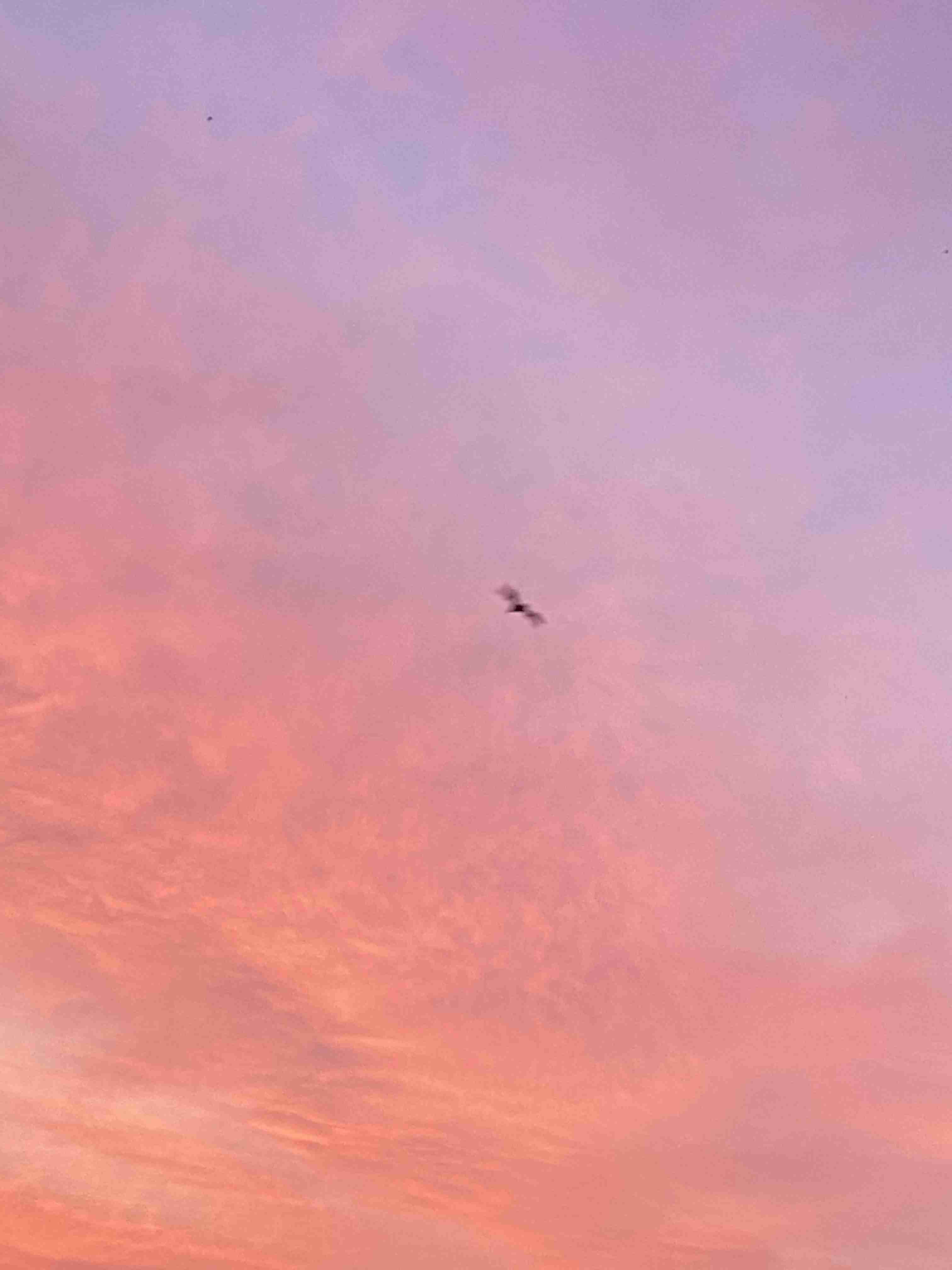 週末に楽しく雑談したい人が集まるトピ Part3