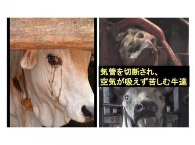 週末に楽しく雑談したい人が集まるトピ Part3