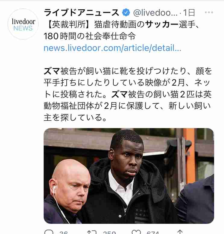 英国サッカー選手、猫虐待で180日の社会奉仕 スポンサー契約打ち切り、チームへ約4100万円の罰金も