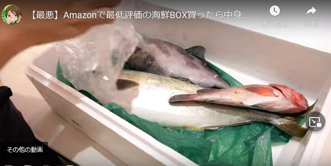 Amazon最低評価の海鮮BOX購入→「こんなん売っちゃダメだよ」中身にあ然 きまぐれクックが率直レビュー