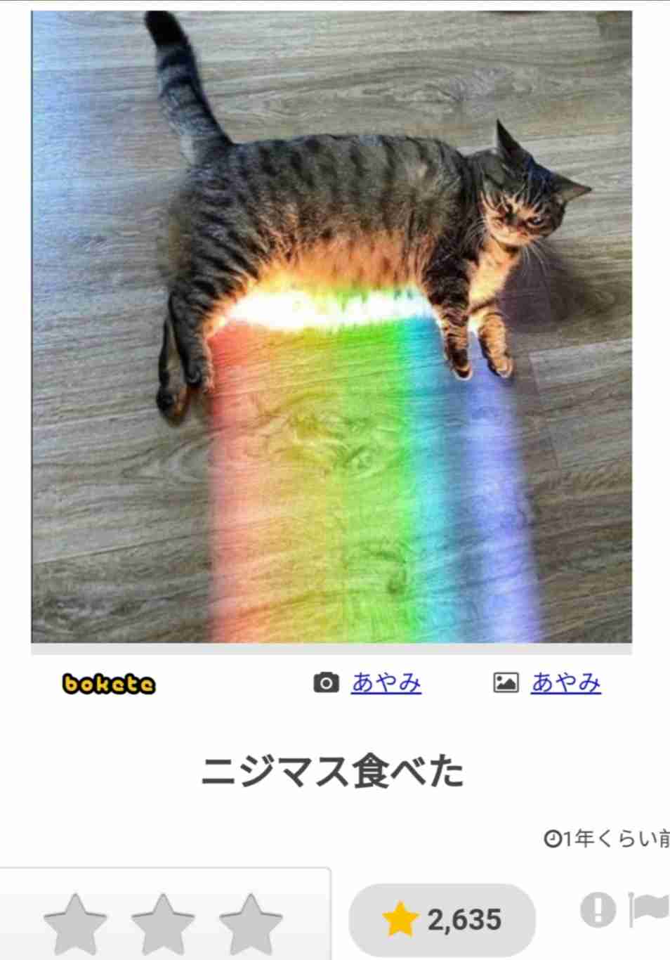 がるちゃん猫カフェ76号店開店しました♪(初めての方も大歓迎♪)