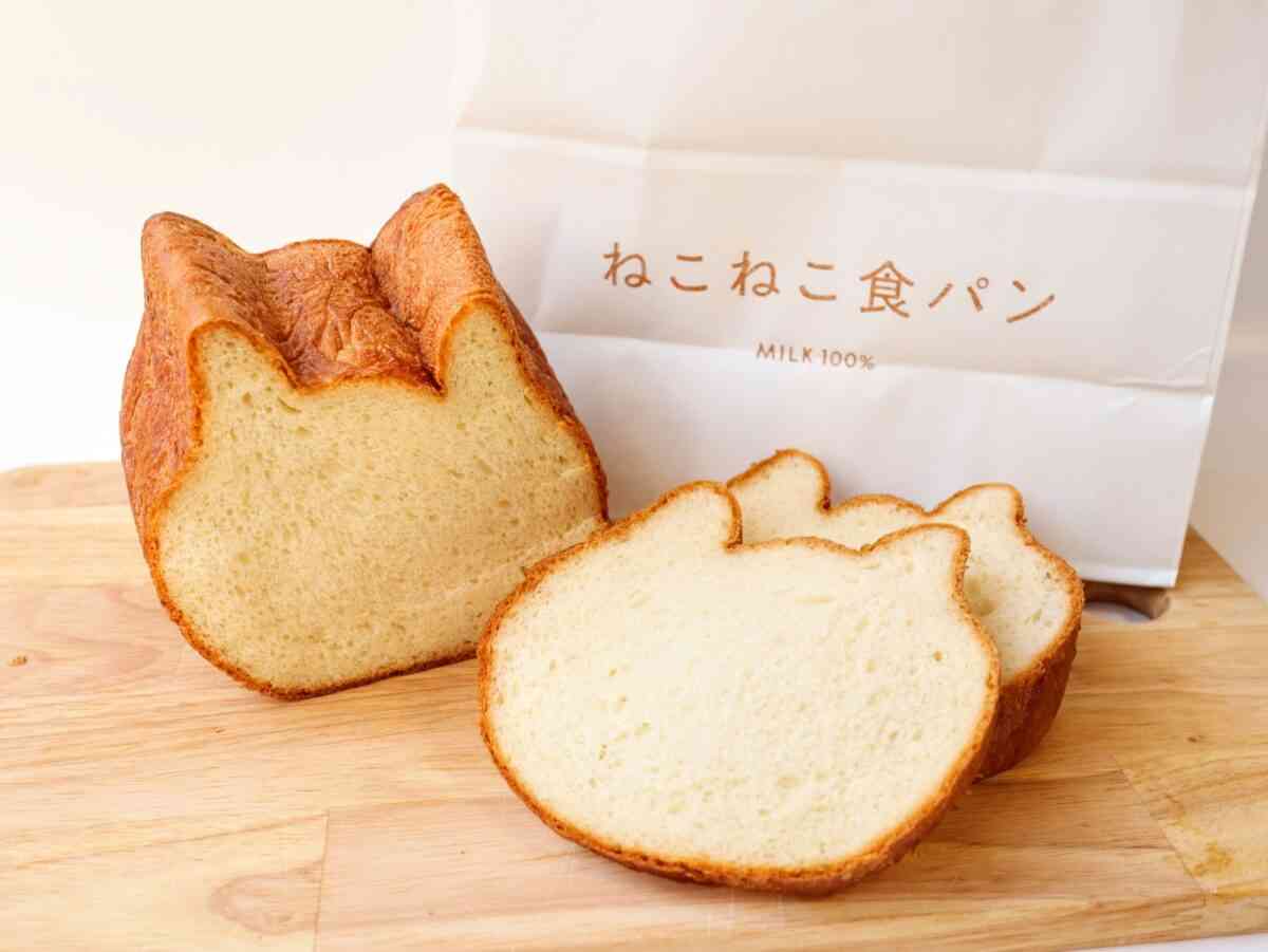 がるちゃん猫カフェ76号店開店しました♪(初めての方も大歓迎♪)