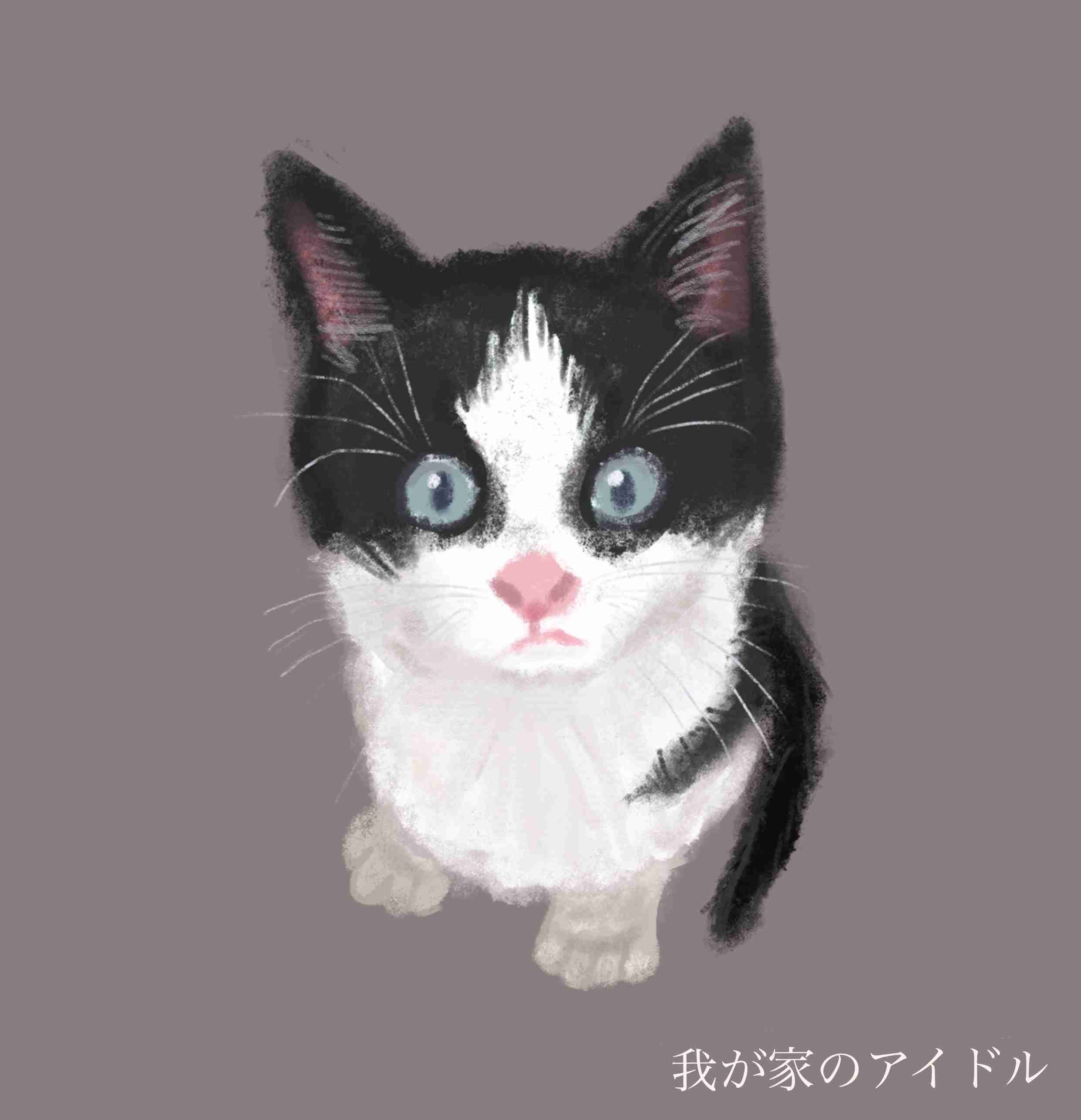 がるちゃん猫カフェ76号店開店しました♪(初めての方も大歓迎♪)